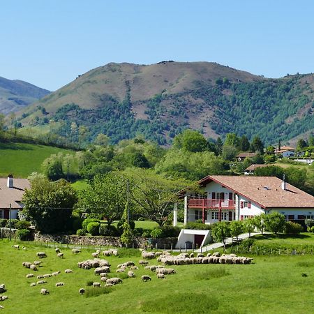 Baskoparadis I Eco-Gites I Calme I Vue I Anes I Jardin I Montagne I Nature Louhossoa Exteriör bild
