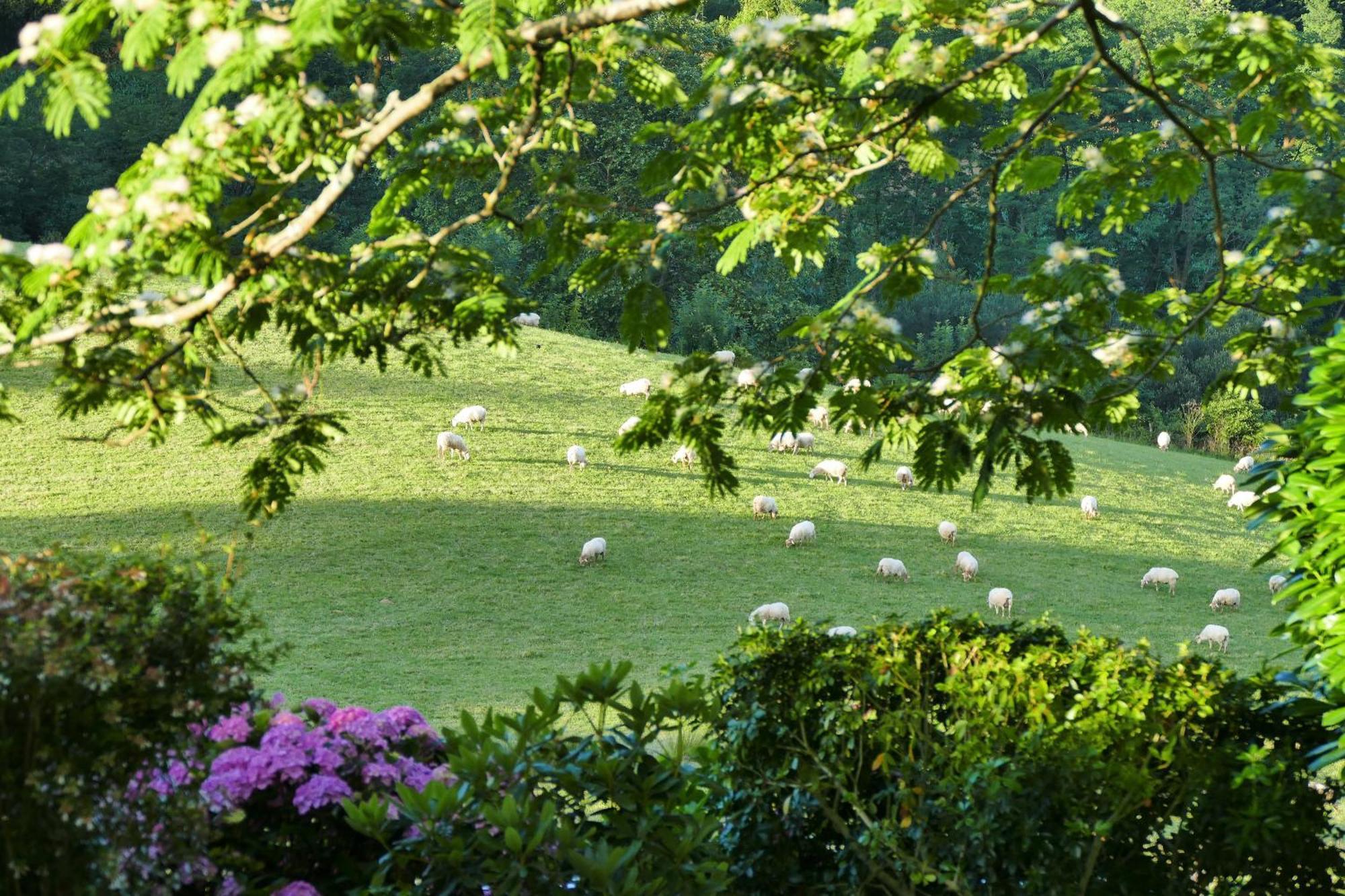 Baskoparadis I Eco-Gites I Calme I Vue I Anes I Jardin I Montagne I Nature Louhossoa Exteriör bild
