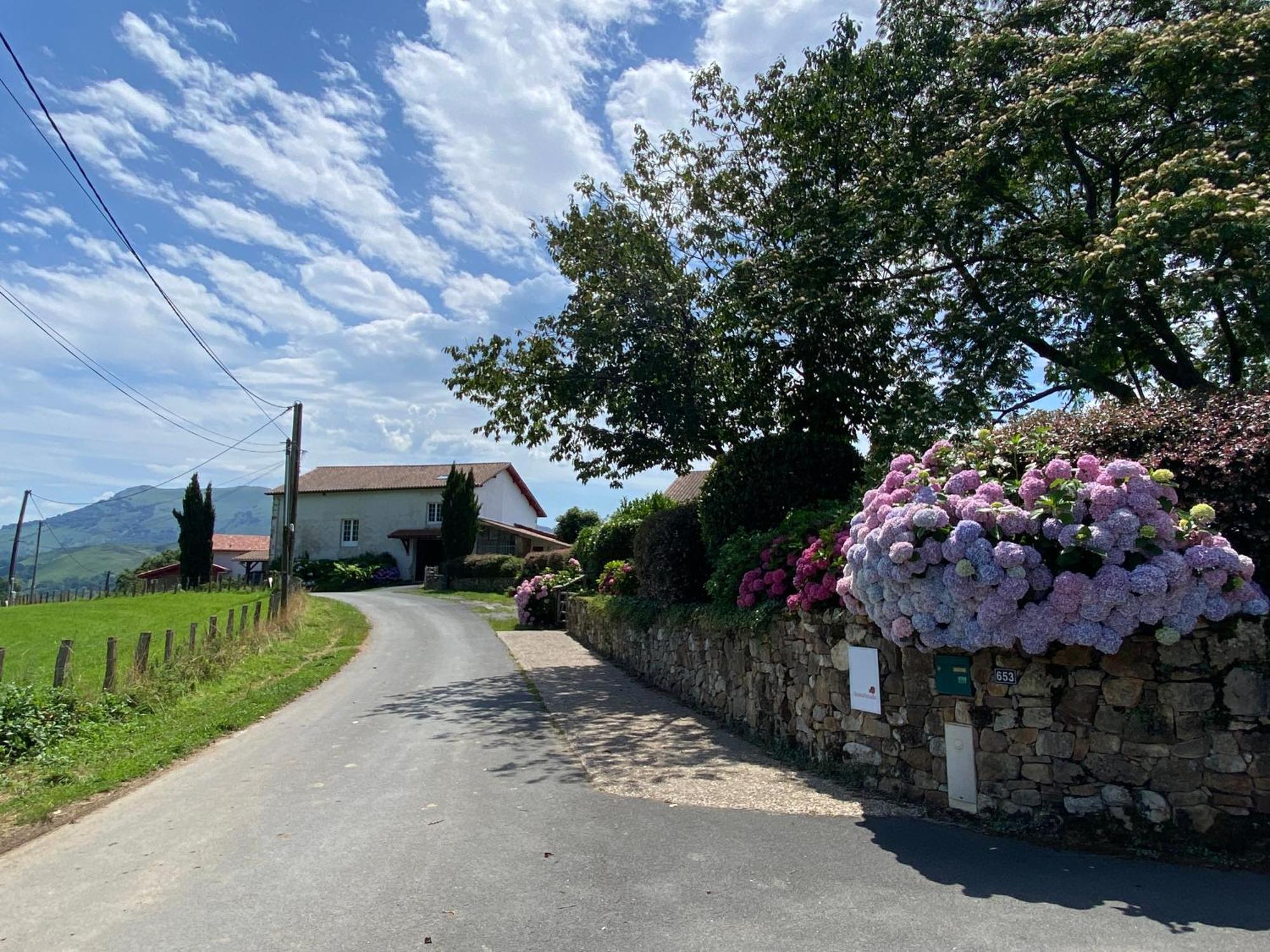 Baskoparadis I Eco-Gites I Calme I Vue I Anes I Jardin I Montagne I Nature Louhossoa Exteriör bild