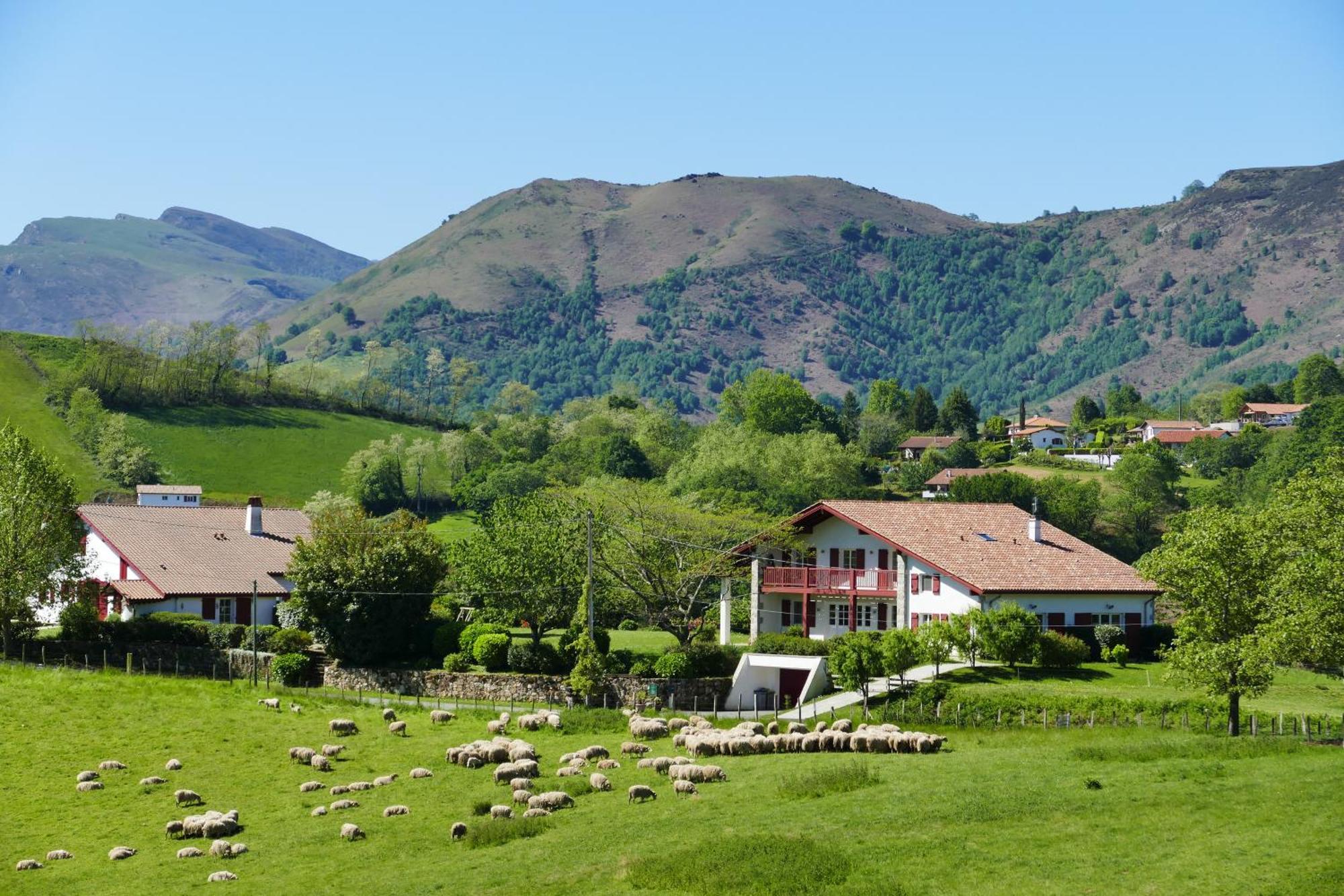 Baskoparadis I Eco-Gites I Calme I Vue I Anes I Jardin I Montagne I Nature Louhossoa Exteriör bild